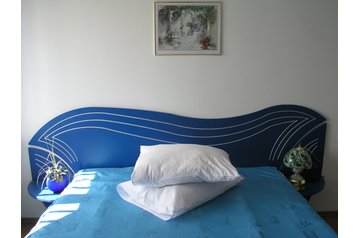 Пансионат Sâmbăta de Sus 9